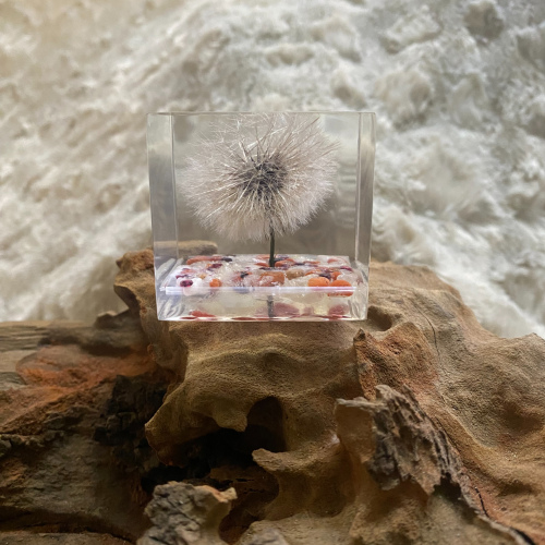 A Firelight Dandelion Wish Cube 