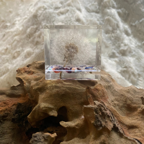 A Magical Dandelion Wish Cube 